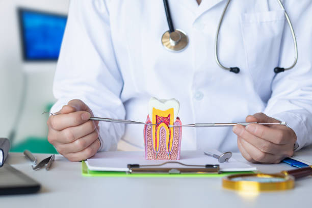 Best After-Hours Emergency Dentist in Ord, NE